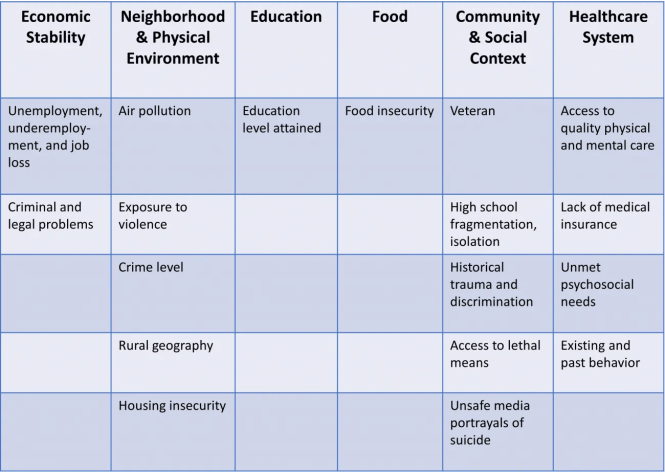 SDoH grid for suicide risk